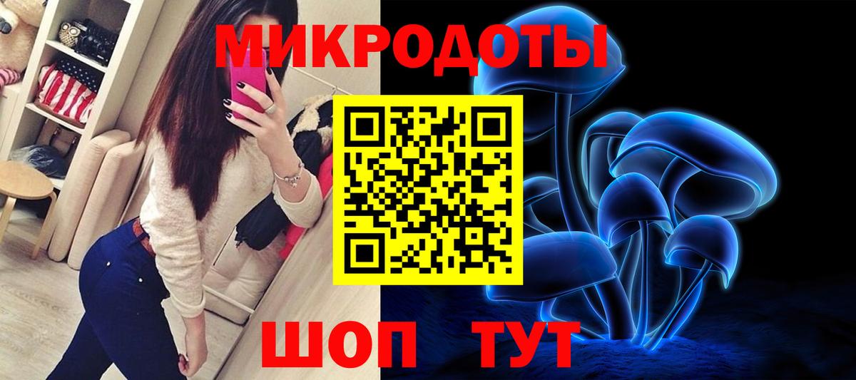 Псилоцибиновые грибы прущие грибы Лесной