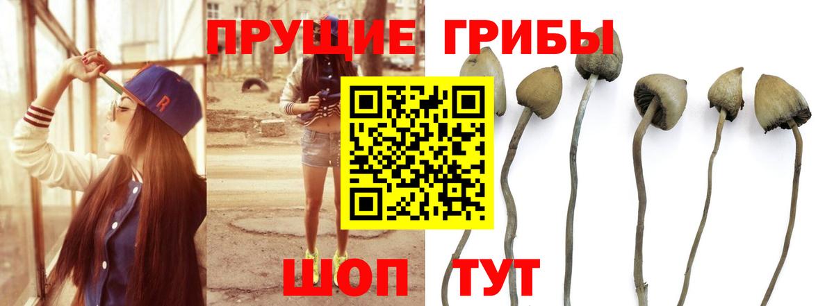 Галлюциногенные грибы MAGIC MUSHROOMS  Лесной 