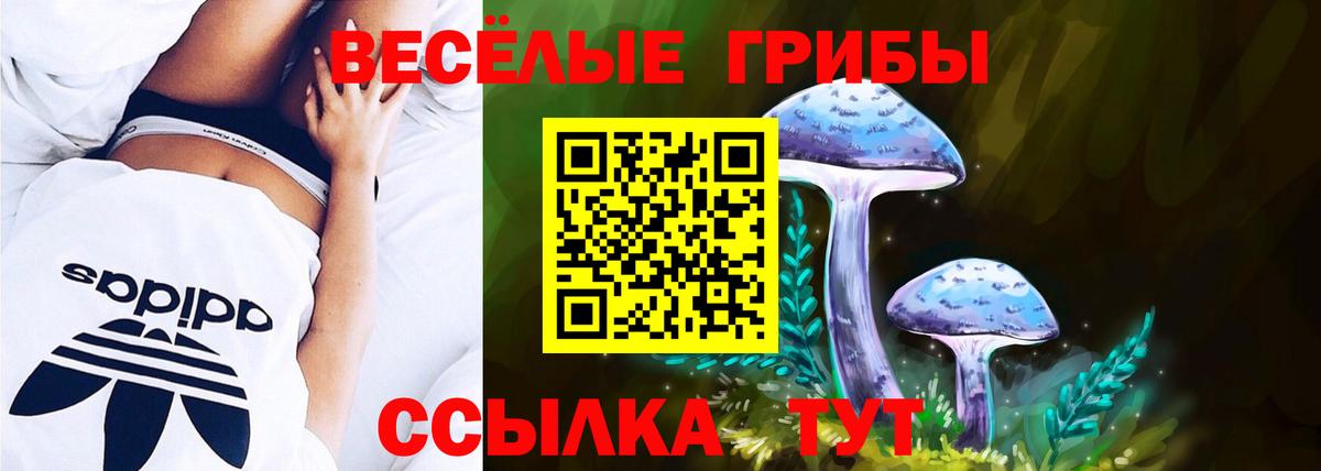 Лесной  Галлюциногенные грибы мухоморы  Вход с VPN  Галлюциногенные грибы Cubensis 